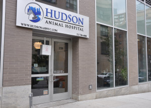 Hudson Animal Doctor Outside Front View